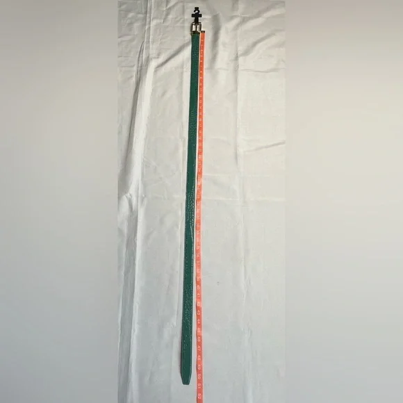 Green Croc-Embossed Belt with Gold Buckle - Picture 6 of 7